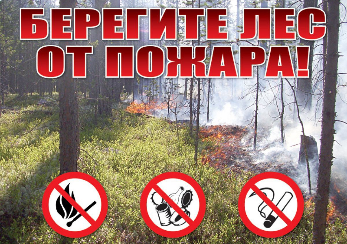 Сохраним лес от пожаров!.