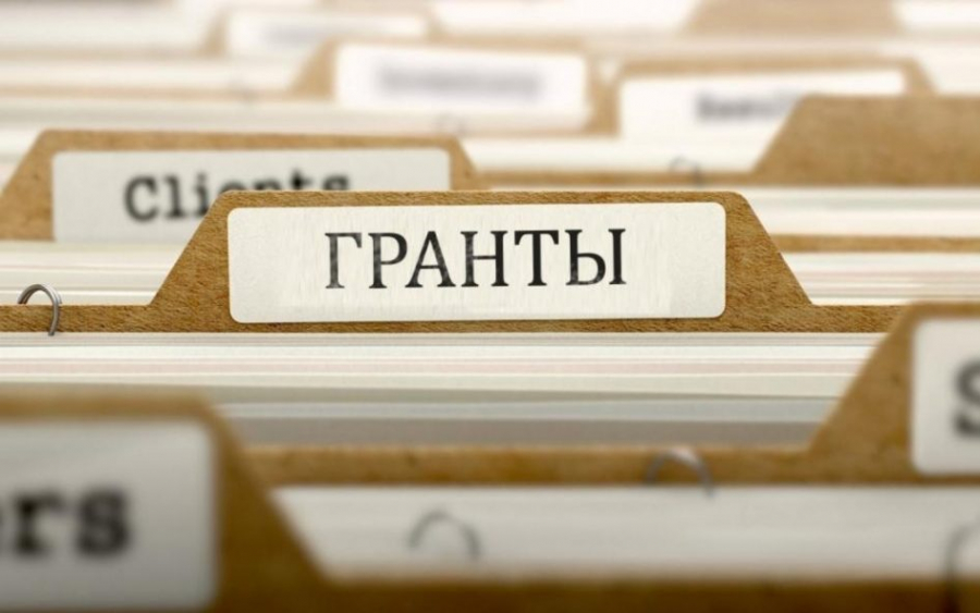 Приём заявок на получение гранта в Вологодской области.